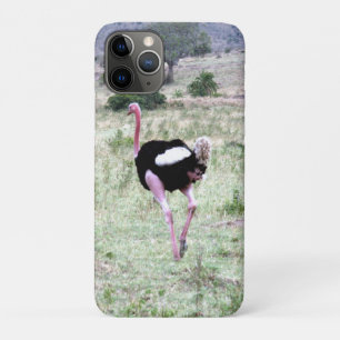 Capa Para iPhone 11 Pro avestruz