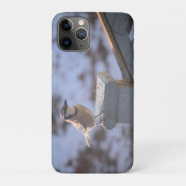 Capa Para iPhone 11 Pro Blue Jay
