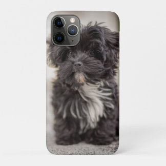 Capa Para iPhone 11 Pro Bolonka Puppy