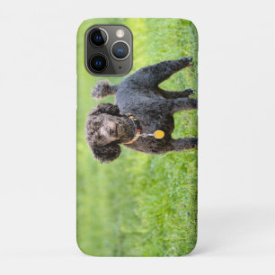 Capa Para iPhone 11 Pro Bonjour