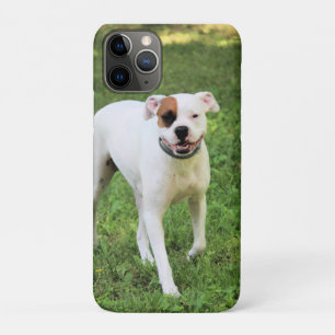 Capa Para iPhone 11 Pro Boxer