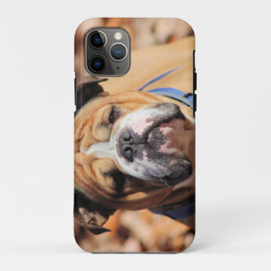 Capa Para iPhone 11 Pro Buddy Bulldog