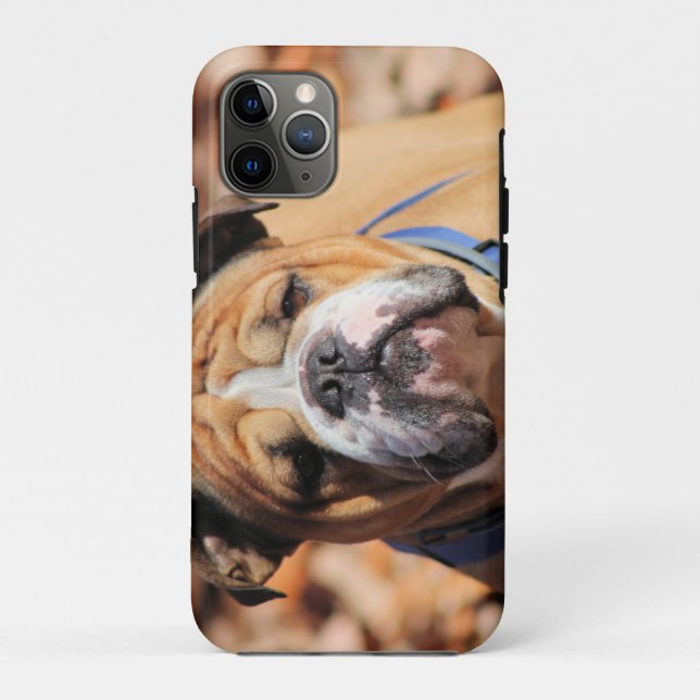 Capa Para iPhone 11 Pro Buddy Bulldog (Verso)
