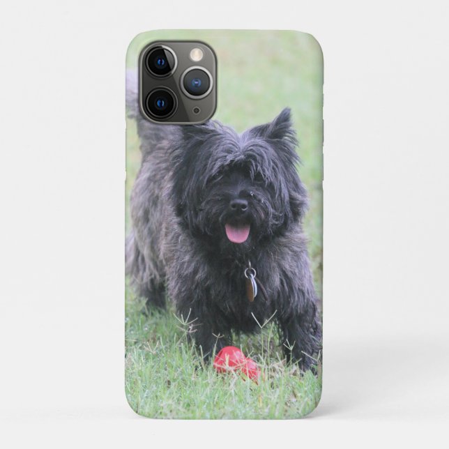 Capa Para iPhone 11 Pro Cairn (Verso)