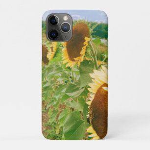 Capa Para iPhone 11 Pro Campos de girassol