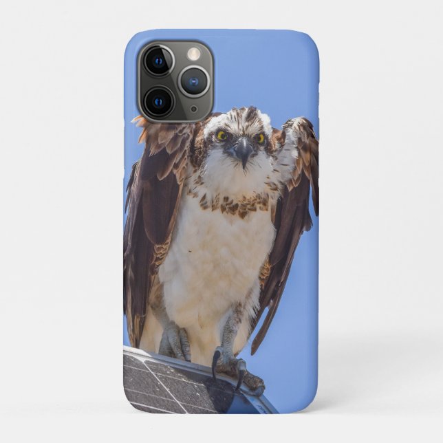 Capa Para iPhone 11 Pro Capa de iPhone Águia-pescadora | Arte de Fotografi (Verso)