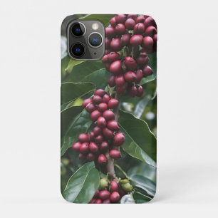 Capa Para iPhone 11 Pro **"Colheita em Sangue: Feijão de Café na Árvore"**