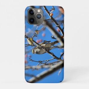 Capa Para iPhone 11 Pro Coroa do outono