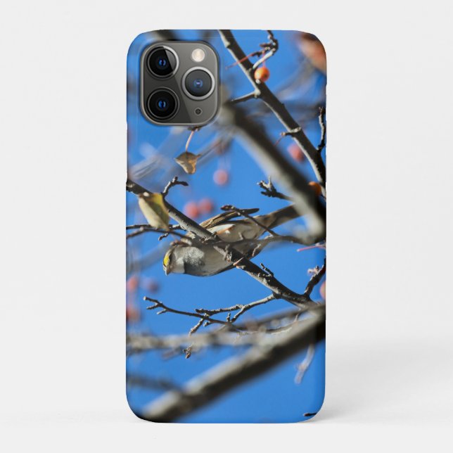 Capa Para iPhone 11 Pro Coroa do outono (Verso)