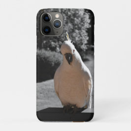 Capa Para iPhone 11 Pro Curioso Cacatua de Crista Amarela