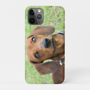 Capa Para iPhone 11 Pro Dachshund