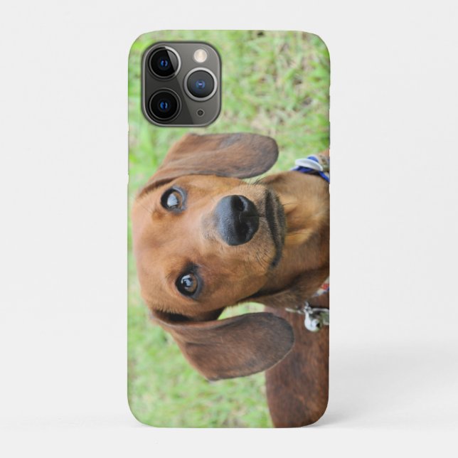 Capa Para iPhone 11 Pro Dachshund (Verso)
