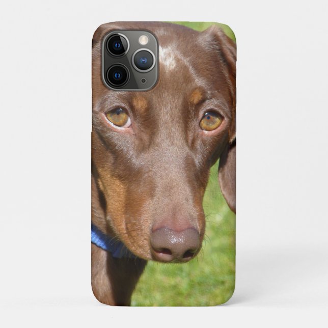 Capa Para iPhone 11 Pro Dachshund (Verso)
