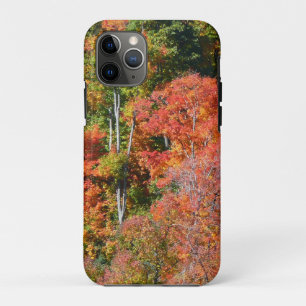 Capa Para iPhone 11 Pro Fall Hillside Colorter Autumn Nature Fotografia