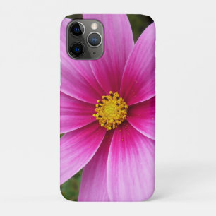 Capa Para iPhone 11 Pro Flores de Cosmos Rosa