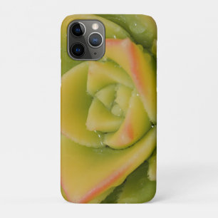 Capa Para iPhone 11 Pro Florescimento Esmeralda: Joia Líquida da Natureza