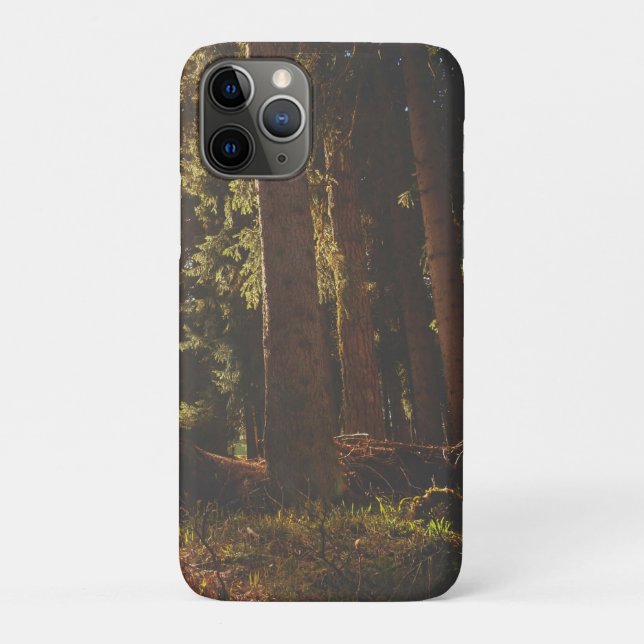 Capa Para iPhone 11 Pro Floresta (Verso)