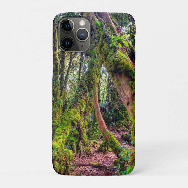 Capa Para iPhone 11 Pro Floresta Musgosa (Verso)