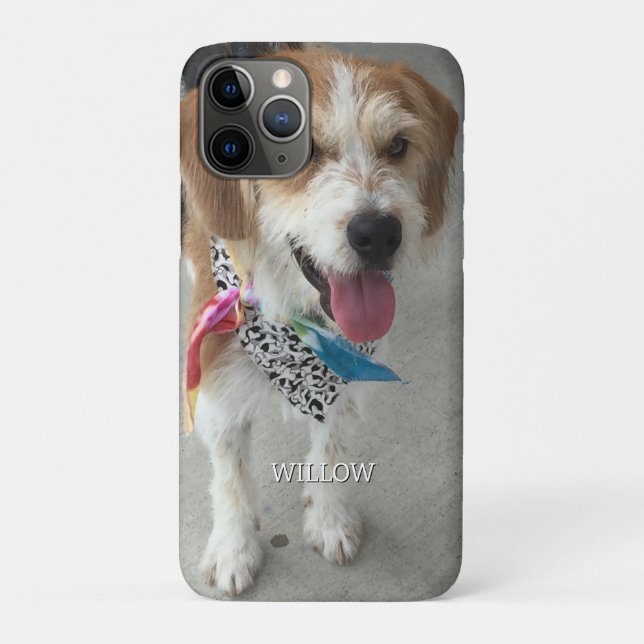 Capa Para iPhone 11 Pro Foto e nome do Pet (Verso)
