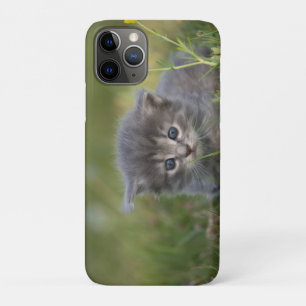 Capa Para iPhone 11 Pro Gatinho Fofo Personalizado