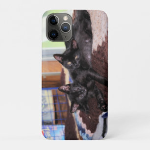 Capa Para iPhone 11 Pro Gatinhos