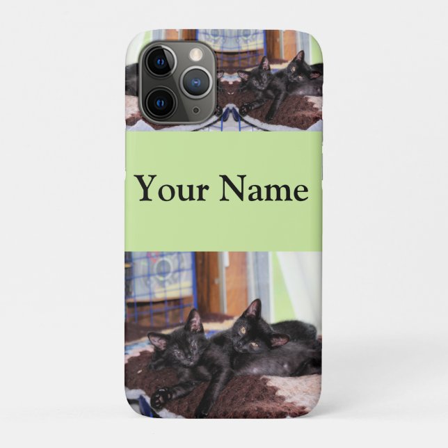 Capa Para iPhone 11 Pro Gatinhos (Verso)