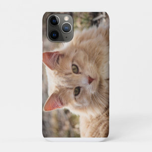Capa Para iPhone 11 Pro Gato