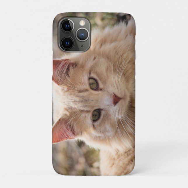 Capa Para iPhone 11 Pro Gato (Verso)
