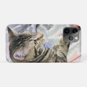 Capa Para iPhone 11 Pro Gato