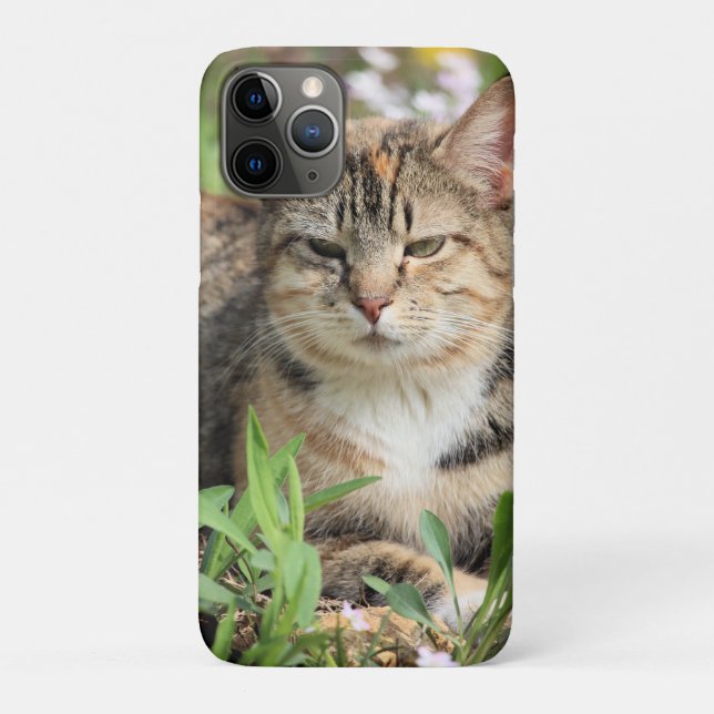 Capa Para iPhone 11 Pro Gato (Verso)