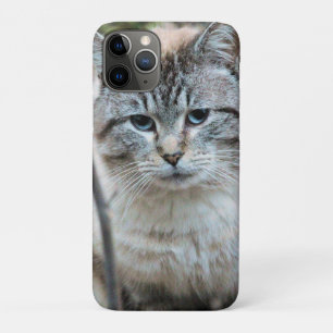 Capa Para iPhone 11 Pro Gato