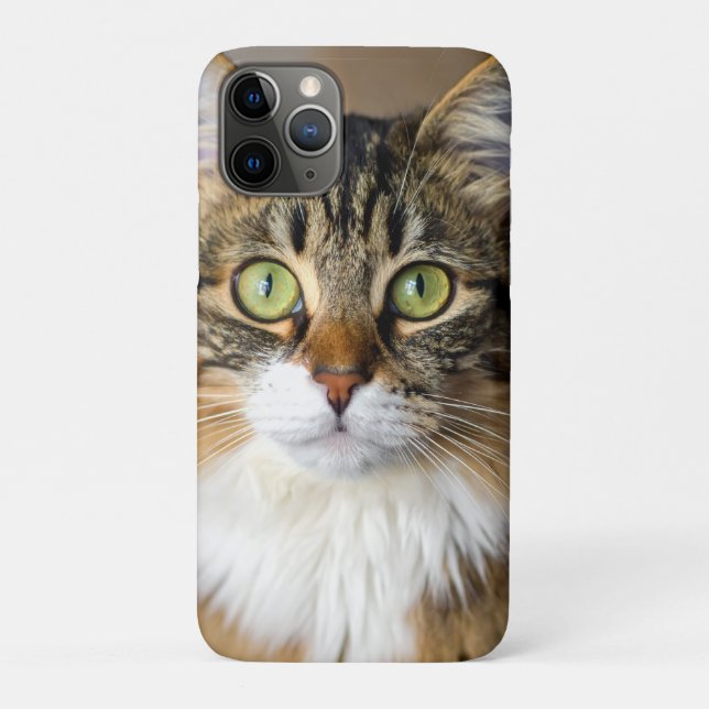 Capa Para iPhone 11 Pro Gato (Verso)