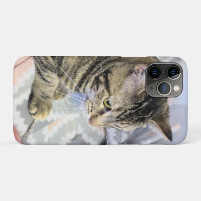 Capa Para iPhone 11 Pro Gato (Verso (horizontal))