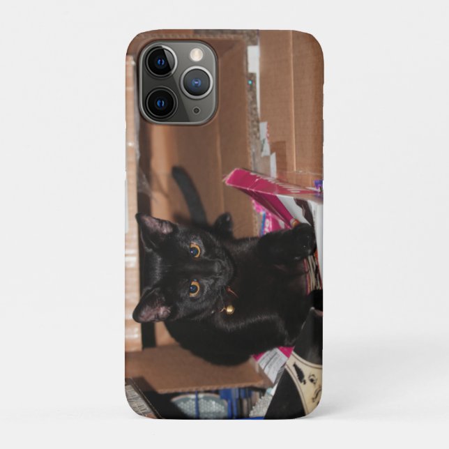 Capa Para iPhone 11 Pro Gato (Verso)