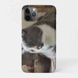 Capa Para iPhone 11 Pro Gato