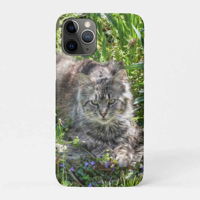 Capa Para iPhone 11 Pro Gato Durante Eclipse (Verso)