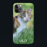 Capa Para iPhone 11 Pro Gato marrom e branco<br><div class="desc">Gato marrom e branco. Itens correspondentes disponíveis em nossa loja.</div>