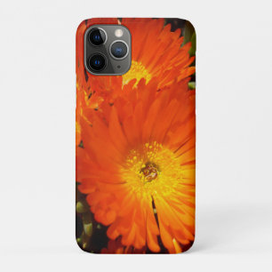 Capa Para iPhone 11 Pro Giant Orange Daisies,
