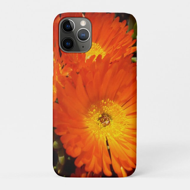 Capa Para iPhone 11 Pro Giant Orange Daisies, (Verso)
