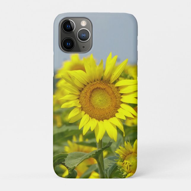 Capa Para iPhone 11 Pro Girassóis (Verso)