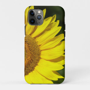 Capa Para iPhone 11 Pro Girassol