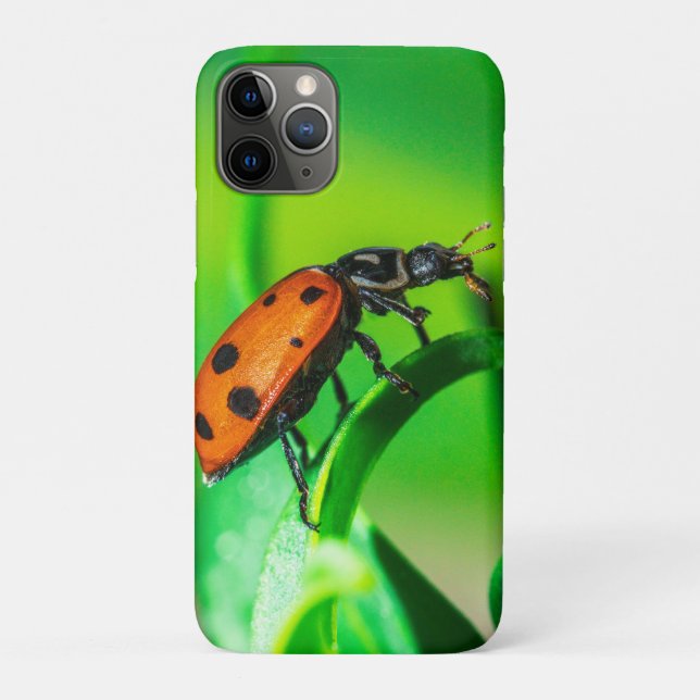 Capa Para iPhone 11 Pro Joaninha Folha (Verso)