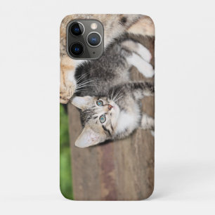 Capa Para iPhone 11 Pro Kitten