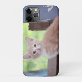 Capa Para iPhone 11 Pro Kitten