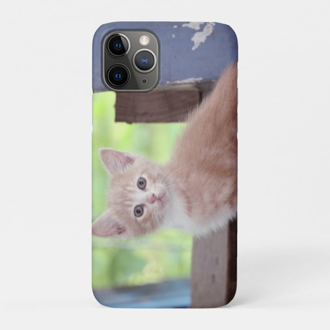 Capa Para iPhone 11 Pro Kitten (Verso)