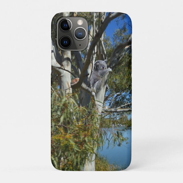 Capa Para iPhone 11 Pro Koala Bear Dormindo Na Árvore De Goma. (Verso)