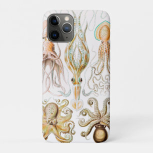 Capa Para iPhone 11 Pro Lula polvo, Gamochonia por Ernst Haeckel