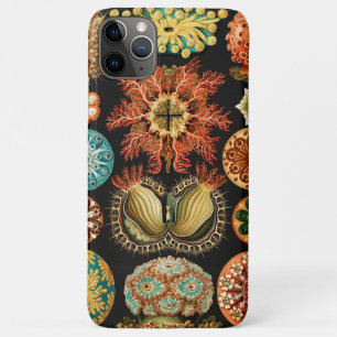 Capa Para iPhone 11 Pro Max Ascidiae, Seescheiden Marine Life por Ernst Haecke