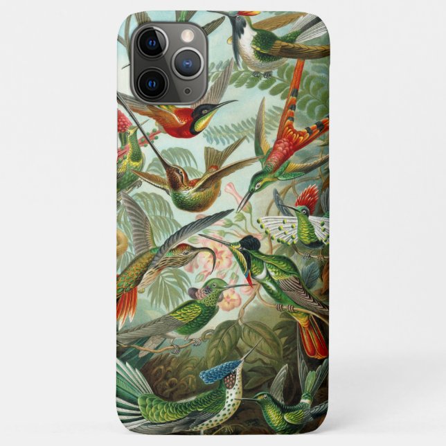 Capa Para iPhone 11 Pro Max Beija-flores vibrantes e magníficos de Ernst Haeck (Verso)