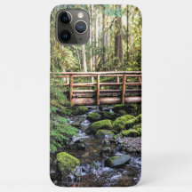 Beleza Marcha // Águas Pacíficas